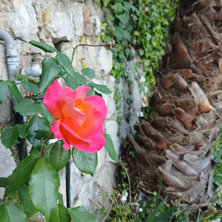 Apartment Daja Menton